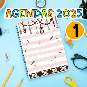 AGENDAS ESCOLARES - Colección varias portadas